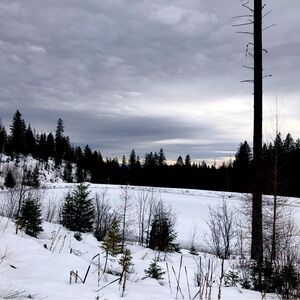 Meet your Posher, Amelia